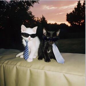 Meet your Posher, Aaron